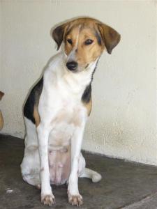 022 Shelter 1 (Medium)