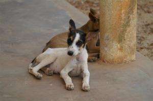 KONICA MINOLTA DIGITAL CAMERA