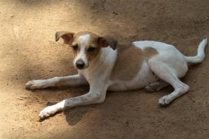 KONICA MINOLTA DIGITAL CAMERA