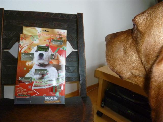 09 Adventskalender (Medium)