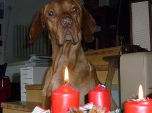 10 Adventskranz (Medium)