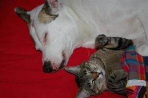 Chu-Chu 3. con charly (Medium)