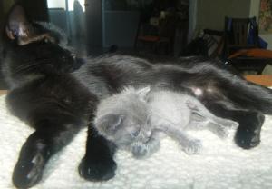 titi 3, mit mami (Medium)