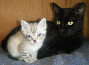 uabi 2, mit mami (Medium)