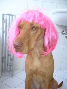 015 Jecke Gaston 0207