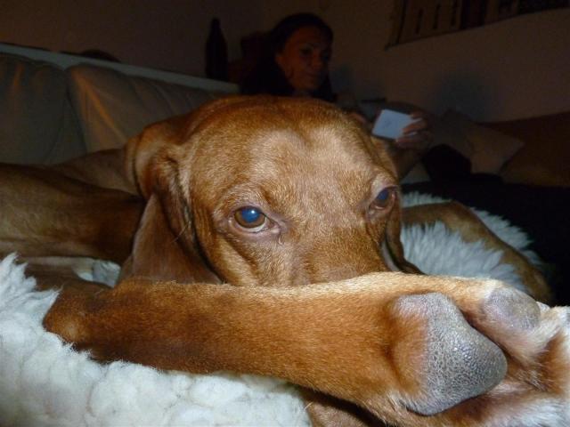 06 1112 (Large)