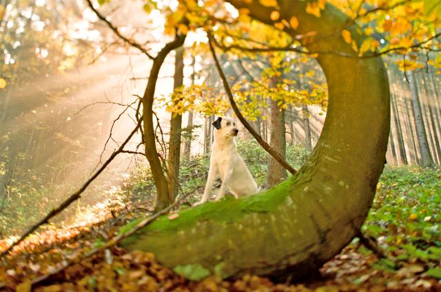 00040002neu2(1) (Large)