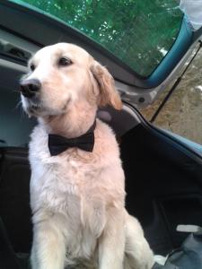 542413_419796551374151_850780531_n