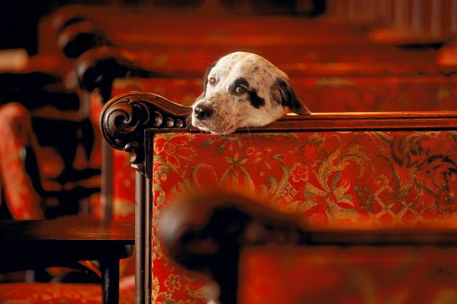 SCAN02GRneu(1) (Large)