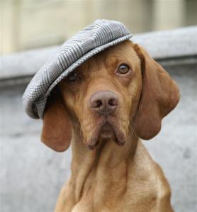 Der Gentleman-Playboy