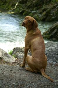 KONICA MINOLTA DIGITAL CAMERA