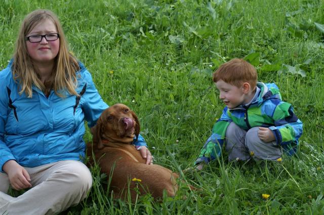 KONICA MINOLTA DIGITAL CAMERA