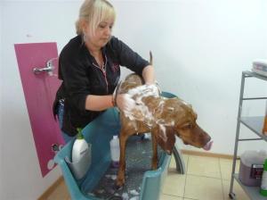 Es geht los! Viel zu viel Shampoo!