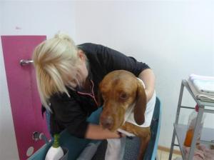 Bitte ganz sanft abrubbeln!