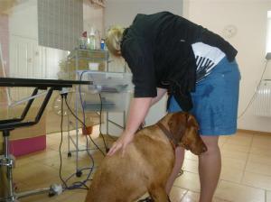 Einschmeicheln muss sein. Vielleicht komm' ich dann eher raus!