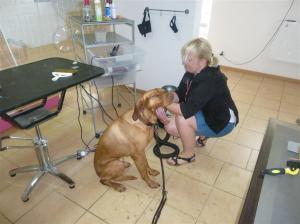 Jetzt wird's langweilig!