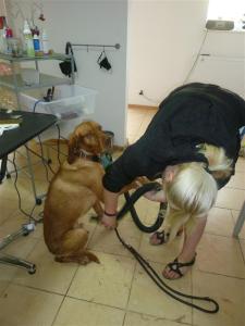 Auch noch unten herum!