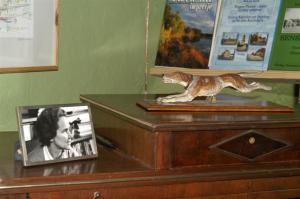 KONICA MINOLTA DIGITAL CAMERA