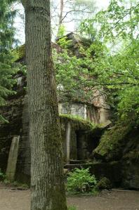 KONICA MINOLTA DIGITAL CAMERA