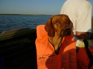 Ich kann doch schwimmen, auch ohne dieses Ding!