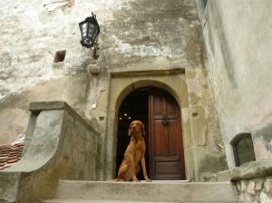 Jetzt muss ich gleich hinein!