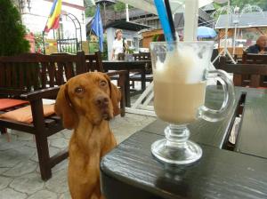 Kaffee-Qualitätskontrolle!