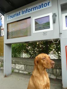 Wissen, wo's lang geht!