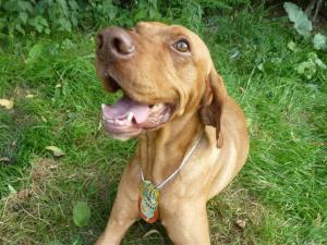 Hier ist es nun, das gute Stück: Meine SCOUT-Medaille! Bin sooo stolz!