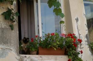 KONICA MINOLTA DIGITAL CAMERA