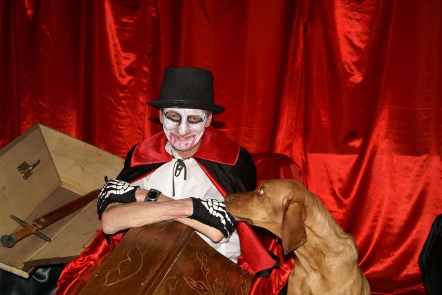 Und hinten in der Ecke: Der wiederauferstandene Fürst Dracula! Bin ich erschrocken!