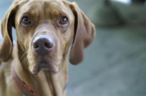 Nicht vergessen, ich selbst zu bleiben!