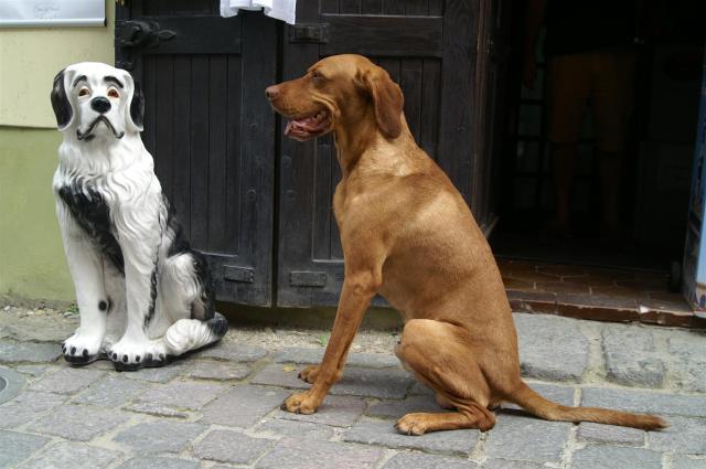 KONICA MINOLTA DIGITAL CAMERA