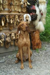 Muss mich erstmal akklimatisieren!