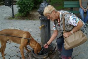 Ältere Fans umschmeicheln!