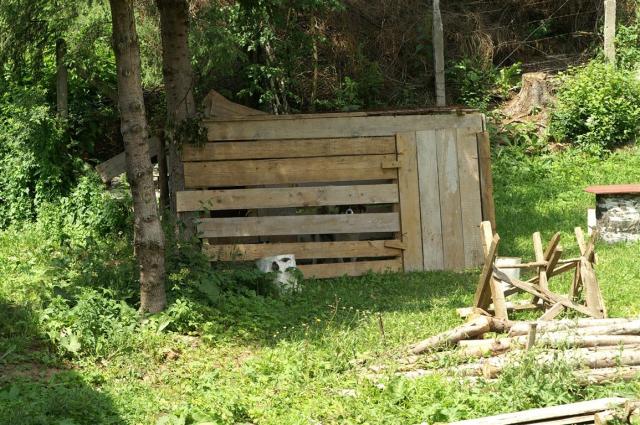 Dieser Hund kann aufgrund der winzigen Sehschlitze nicht einmal seine Umgebung betrachten.