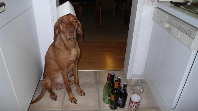 Der Abend nach der Eröffnungsparty. So viel Arbeit!