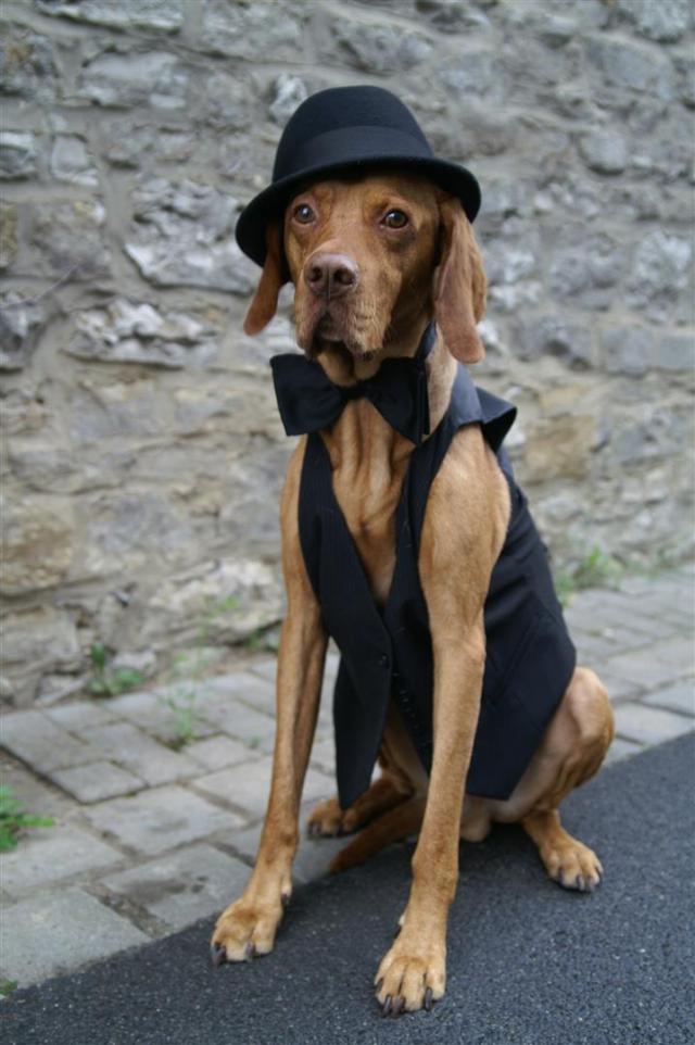 The Gentleman playboy!