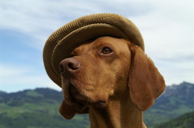 KONICA MINOLTA DIGITAL CAMERA