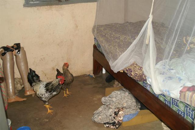 Einer alten Frau im Altenheim einen Besuch abstatten!