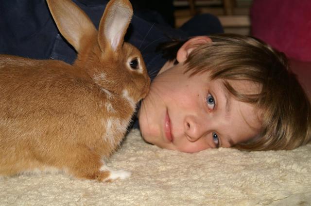 KONICA MINOLTA DIGITAL CAMERA