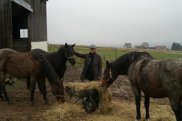 KONICA MINOLTA DIGITAL CAMERA