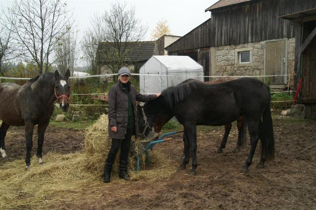 KONICA MINOLTA DIGITAL CAMERA