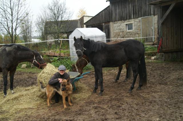 KONICA MINOLTA DIGITAL CAMERA