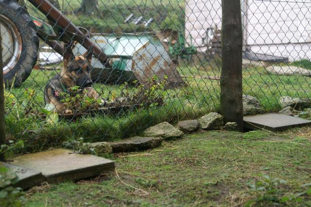 KONICA MINOLTA DIGITAL CAMERA