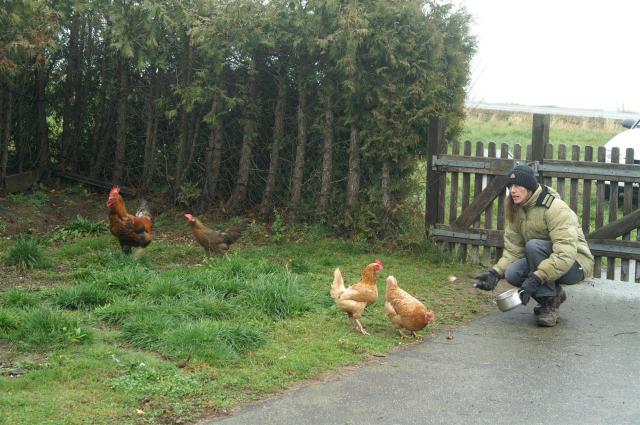 KONICA MINOLTA DIGITAL CAMERA