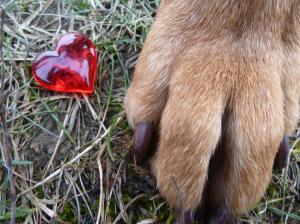 A big heart for doggie girls!