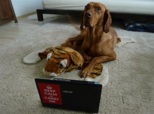 Communicating with my Facebook friends!