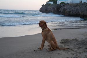 Waiting for Miss Right!