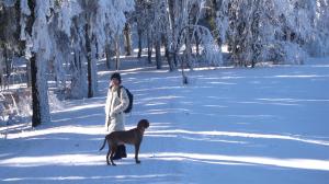 Winter holidays.