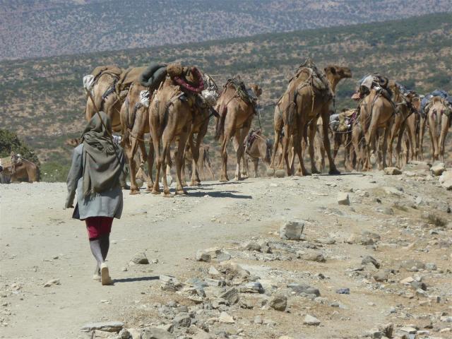 Danakil, Äthiopien, 2011.